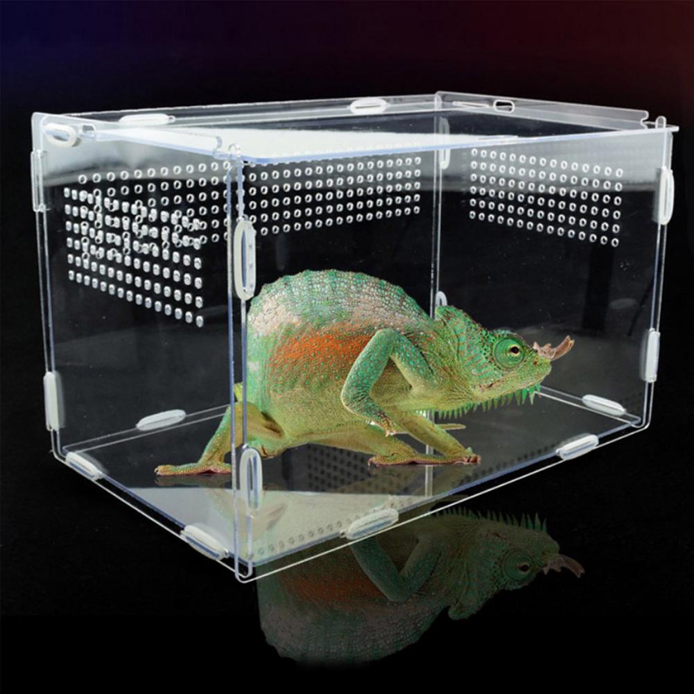 ! Transparent Reptile Breeding Box Reptile Breeding Box Acrylic Feeding Box For Spider Lizard Frog Cricket Turtle