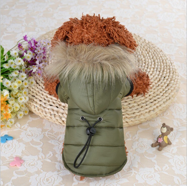 Lämpimät pienen koiran vaatteet talvikoiran takki takki pentuasut koiralle talvivaatteet lemmikkivaatteet: Vihreä / S