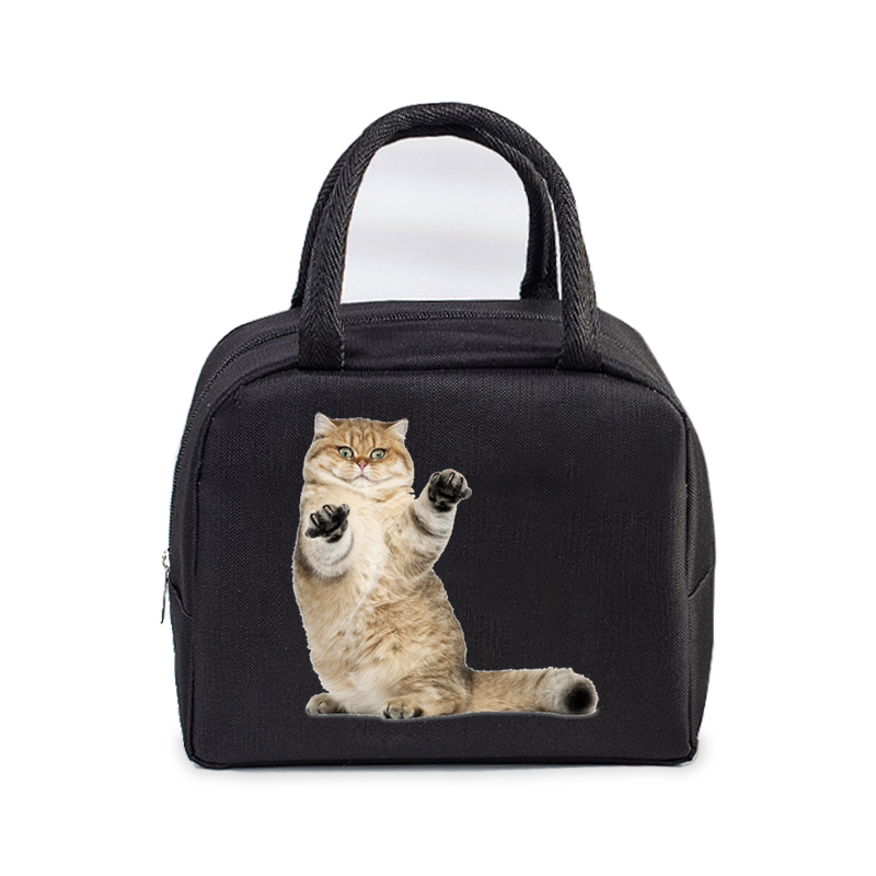 Lunch Bag for Women Men Insulated Portable 3D Cartoon Cats Multifunctional Bag Thermal Food Container School Kids Picnic Handbag: green