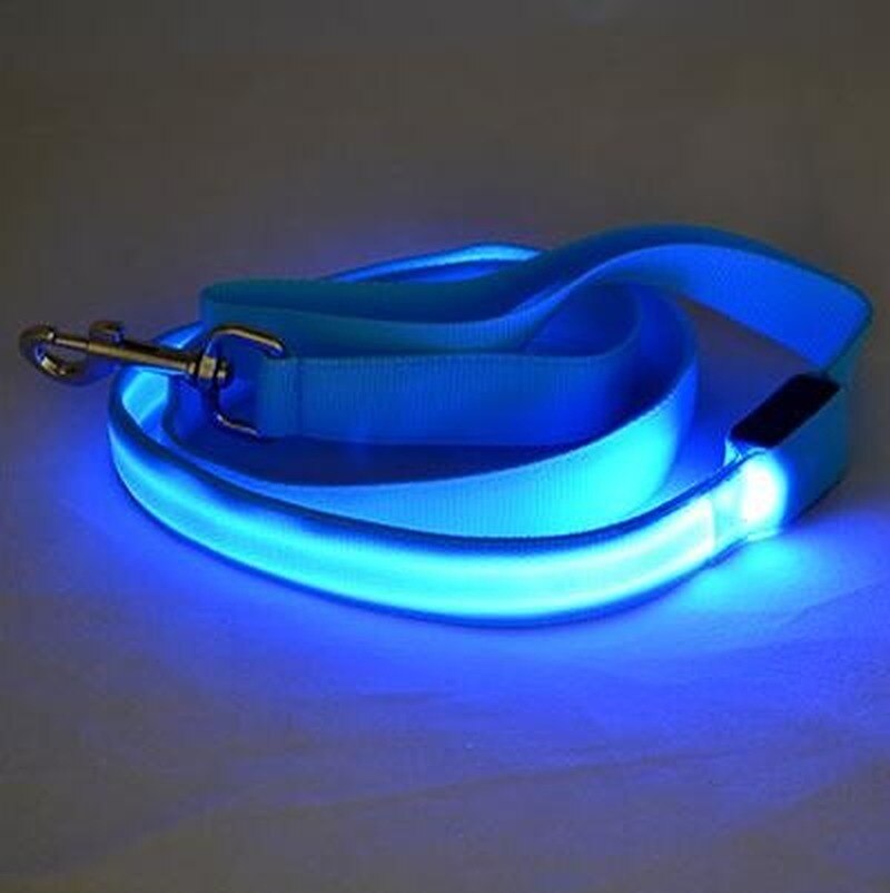 Laisse en Nylon pour chien, sécurité nocturne, LED clignotante dans la nuit, collier pour animaux de compagnie, dessin pour chat, petit gabarit