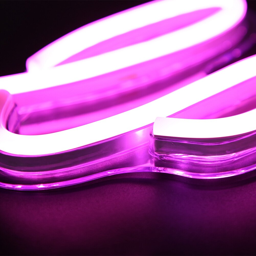 Shaped Transparent Panel Neon Lights USB LED Light for Room Decor