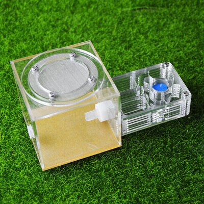 Tee itse z muurahaisfarmi akryylikosteus ruokintaalueella, hyönteinen muurahaishuvila lemmikki advanced mania maatilan muurahaiset: 3