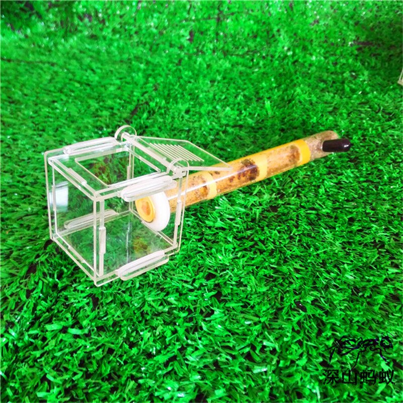 Test Tube Vocht Grote Ruimte Mier Nest, Ant Farm Acryl, Insect Mieren Villa Huis Mieren Ecologische Workshop