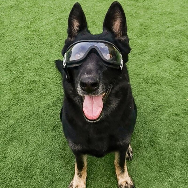 Mittel groß Hund Haustier Gläser Haustier Brillen Wasserdicht Hund Schutz Brille UV Sonnenbrille Wasserdicht Haustier Hund Brille