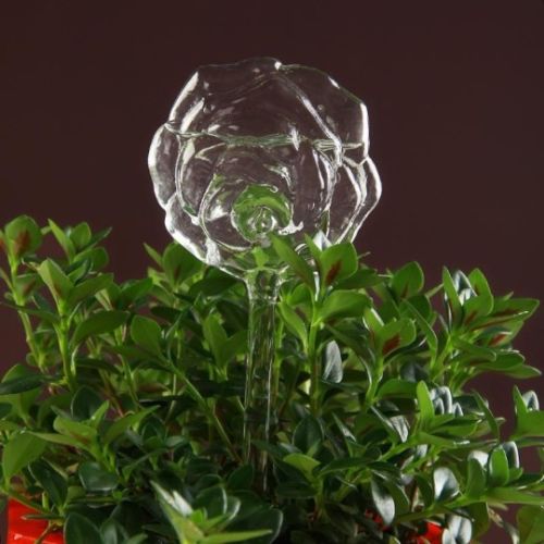 Alimentador automático de agua para plantas y flores, dispositivos de autorriego, alimentador de agua de vidrio transparente, forma de pájaro, 6 formas