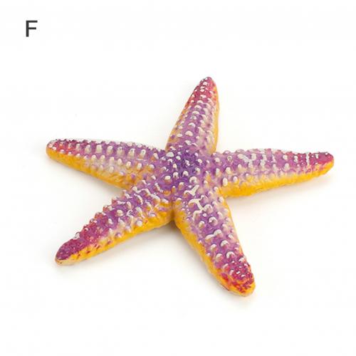 Marine Life Ocean Sea Animals Grouper Shrimp Squid Starfish Simulation Ornament: F