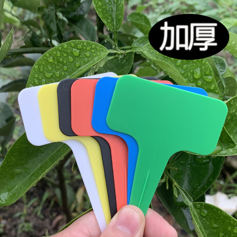 30/50/100Pcs T-Shape Plant Tags Plastic Waterproof Reusable Flower Seed Varieties Tagging Marker Labels Garden For Plants Sign