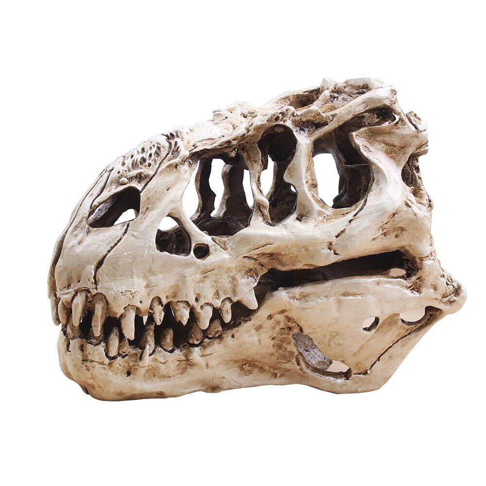 Aquarium Decoraties Levensechte Tyrannosaur Schedel Skelet Fossiele Unieke Collectibles T-Rex Schedel Home Decor Standbeeld Craft