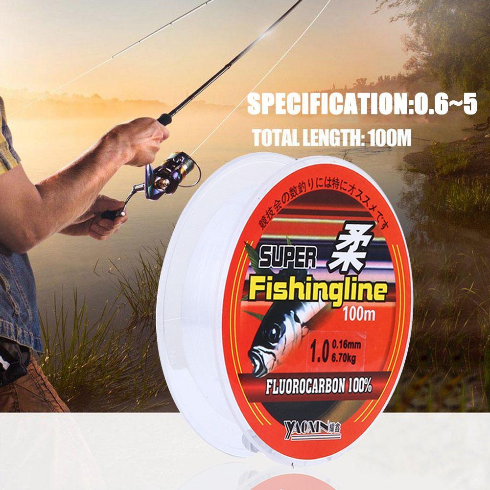 100% Fluorocarbon Duurzaam Coating Vislijn Monofilament Karper Lijn Mainline Leider Lijn Sinking Vissen Super Sterke Jap G4Y9