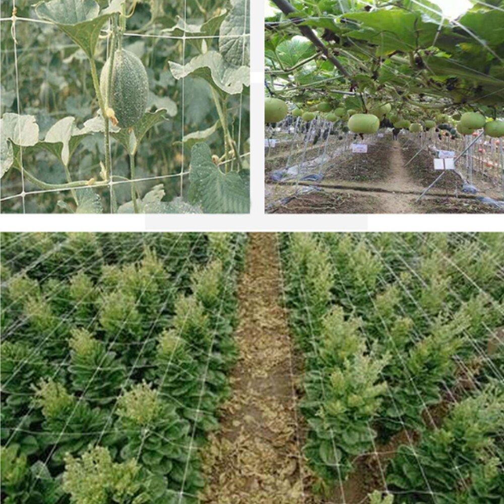 netting polyester nett loofah netting til morgen ære vintreet blomster hageplanter klatrenett agurk vinranke vokseholder