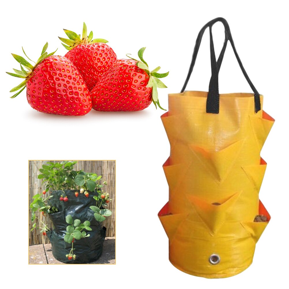Garden Planting Bags 3 Gallons Strawberry Tomato Carrot Reusable Multi-mouth Vertical Flower Herb Planter Pot Hanging Grow Bags