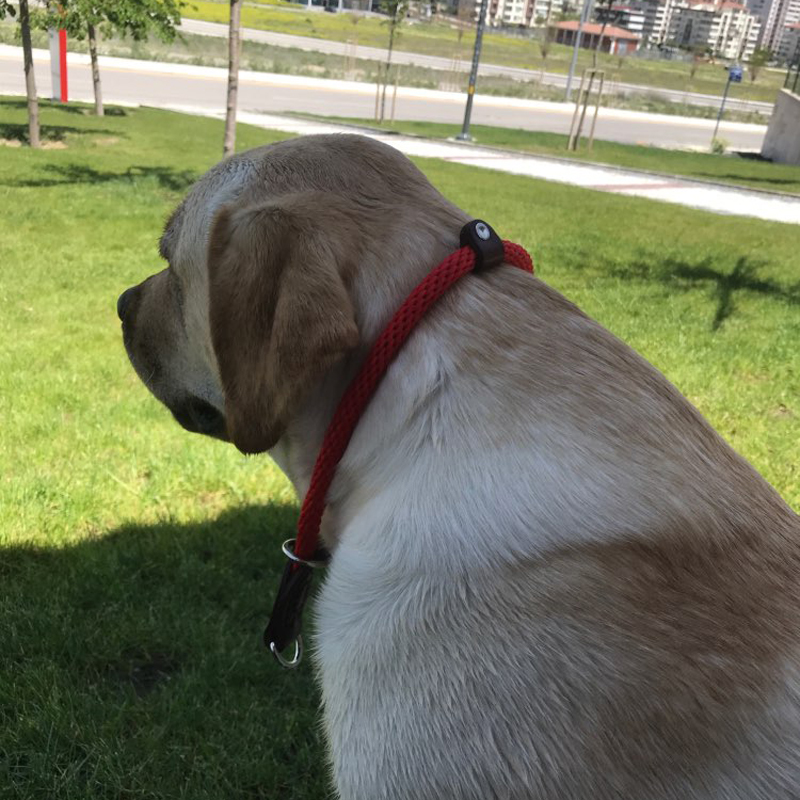 Leather Nylon Dog Collar Half Choke Chain Dogs Training Pinch Collars For Medium Large Pet Black Red Brown color