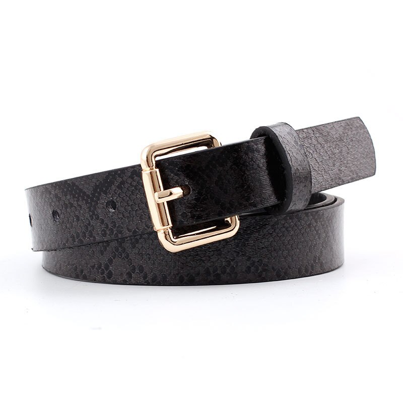 105X2.3Cm Vrouwelijke Pu Leer Snake Taille Riem Vrouwen Riemen Voor Vrouwen jurk Cinto Feminino: N150-Black-105cm