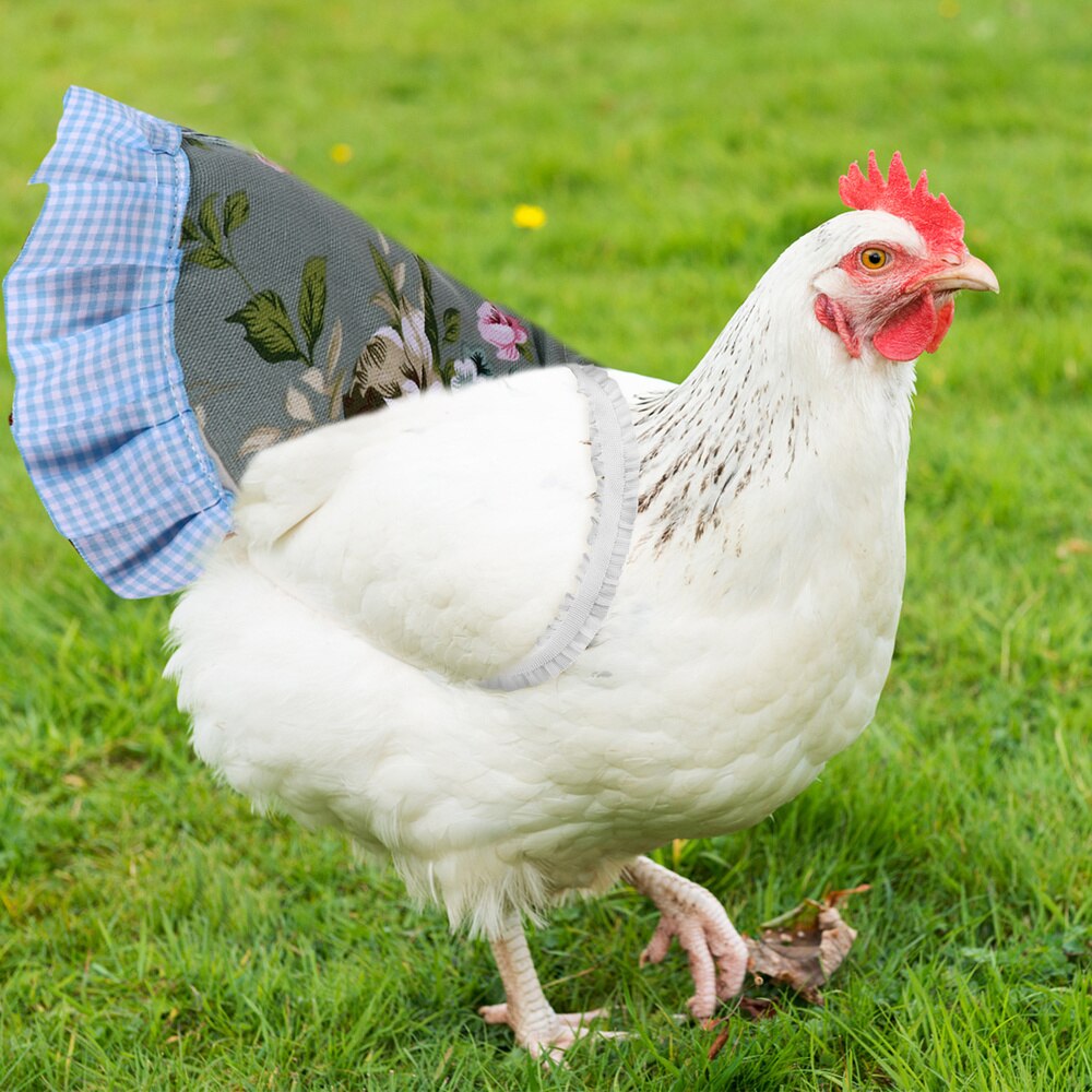 Chicken Vest Poultry Dress Duck Goose Vest Costume Poultry Apparel Supply