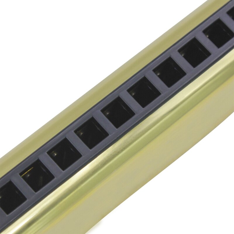 Irin 10 Gaten 20 Tone G Sleutel Harmonica Blues Muziekinstrument Diatonische Harp Met Opbergdoos