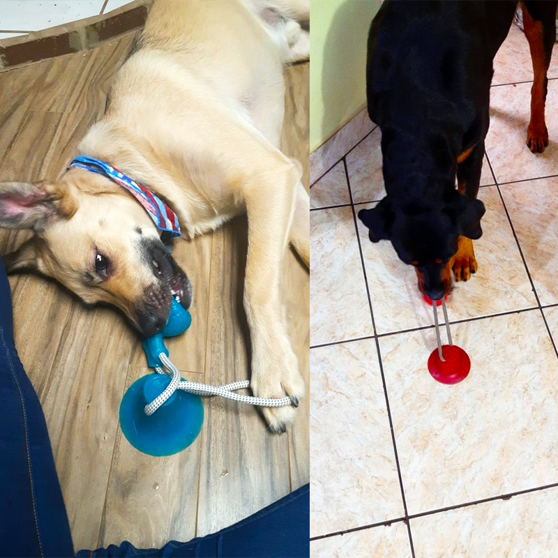 Hund interaktiv sugekop skubbe tpr bold legetøj kæledyr molar bid legetøj elastiske reb hund tand rengøring tygge kæledyr hundehvalp legetøj