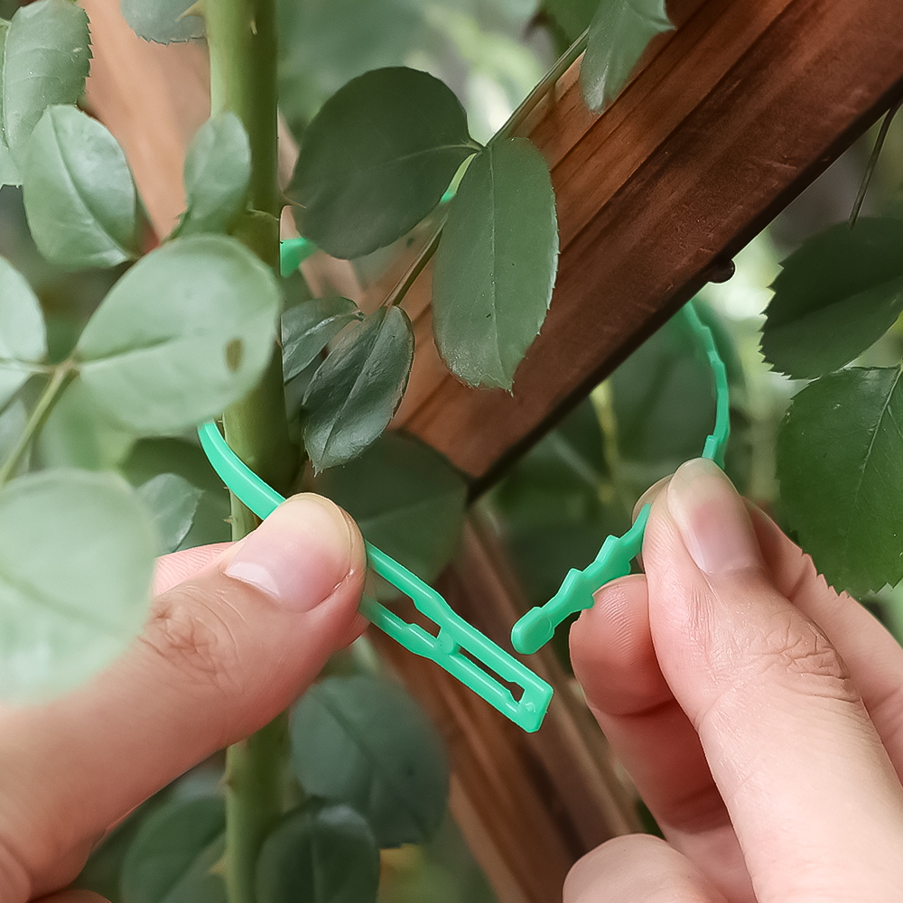 10/500x Adjustable Plastic Plant Cable Ties Reusable Garden Fastener Tie Plant Climbing Cable Ties Tools Tree Support Accessory