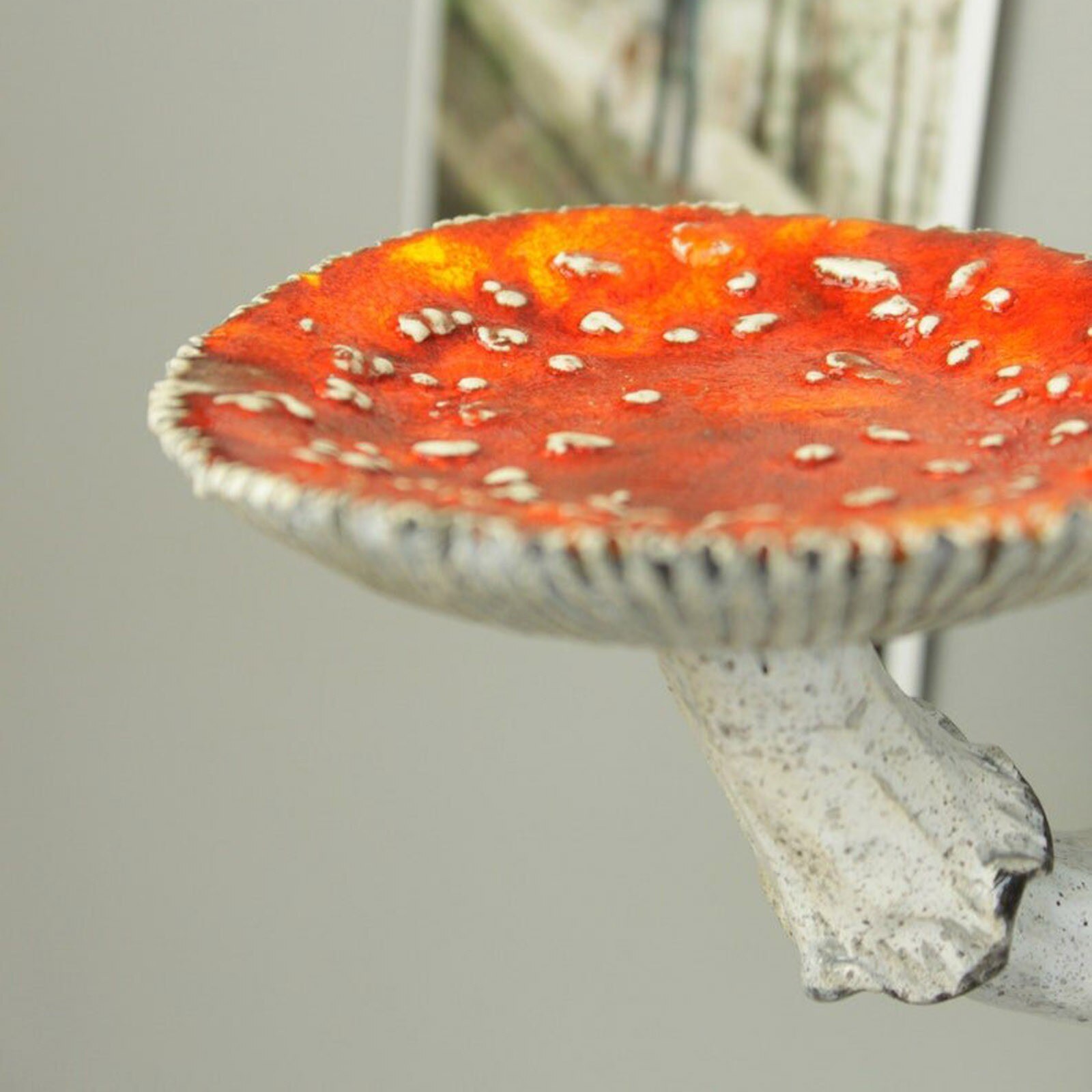 Mushroom-hanging Shelf, Wall Floating Shelf Mushro... – Vicedeal
