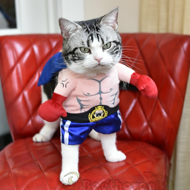 Sjov halloween kæledyr kat hund boxer stående kostume cosplay tøj til små mellemstore hunde hvalpe fest jakke frakke tøj