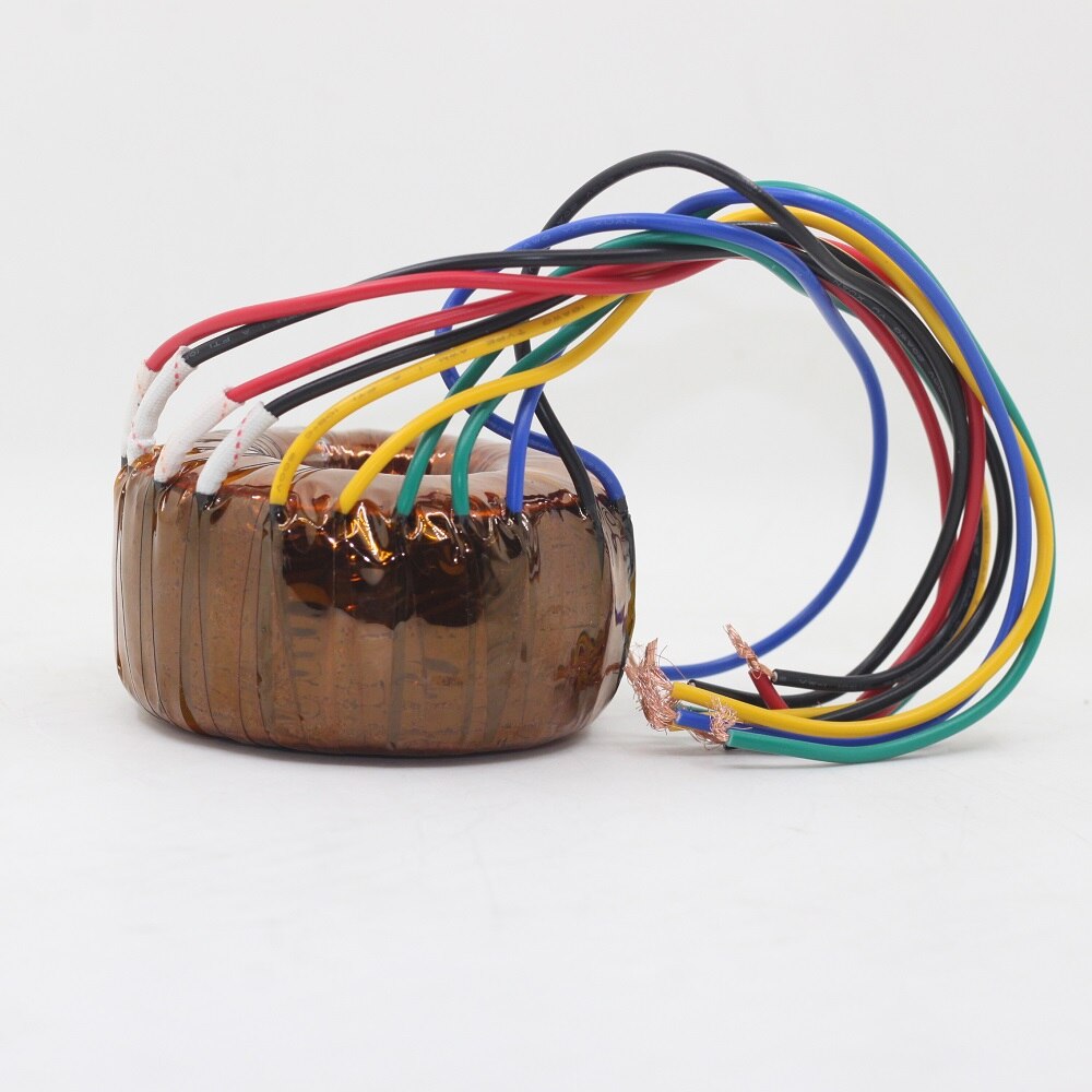 50W Toroidal Transformer Dual 220V 6.3V