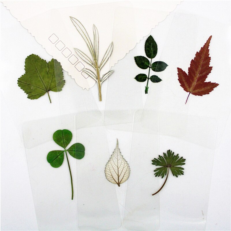 10pcsBookmark Handmade Real Pressed Maple Leaf Tree Fall Autumn Leaves Page Corner Page Student Stationery School Office Supply