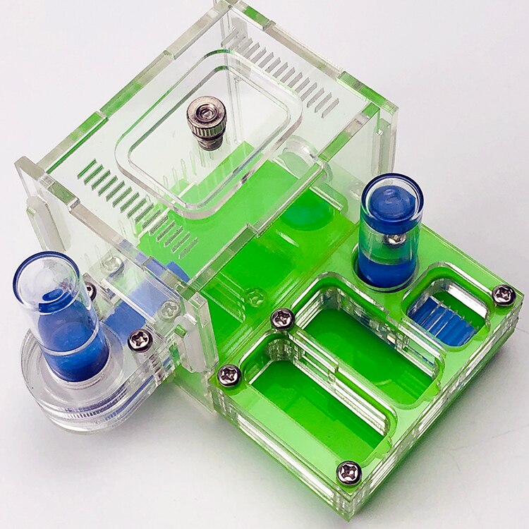 Dura wasser handtuch Ameise Werkstatt Acryl Nest Ameisen Bauernhof Haus Aktivität Bereich Tasche Mini Neue Ameise Nest: Grün