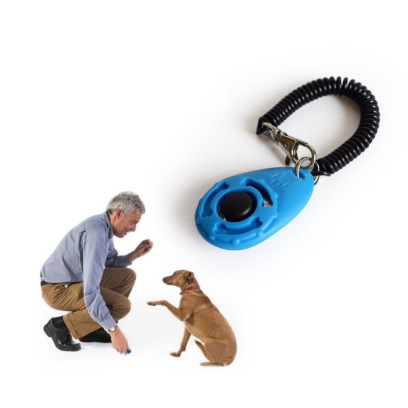 Hundetræning fløjte kæledyrstræning clicker + snorebånd sæt hundetræning produkter leverer 4 farver