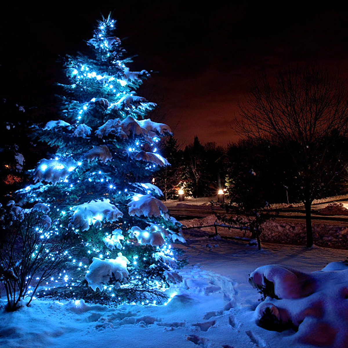 Solar Light Outdoor Super Bright Solar Power LED Garden Lawn Wall Lamp IP65 Waterproof 2 Brightness Light Sensor Lighting Modes