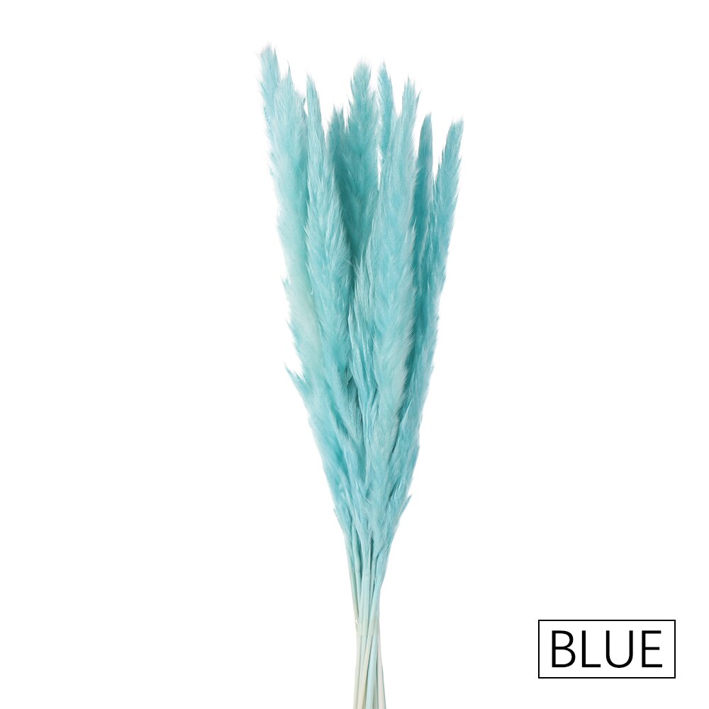 15/25 sztuk trzciny naturalne pszenicy kwiat bukiet suszone Pampas ślubny kwiat bukiet bukiety Bulrush dla Home Decor materiały ślubne: 15PCS-blue
