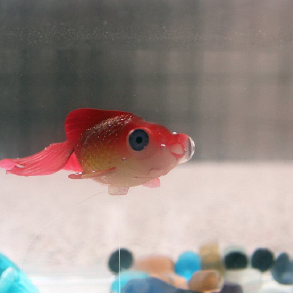 Artificial Swim Glowing Effect Animal Aquarium Decoration Fish Tank Underwater Live Plant Luminous Ornament Aquatic Landscape: D