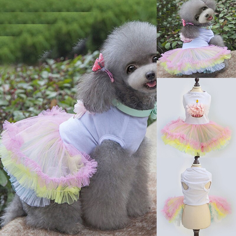 Carino canna Vestito Dal tutù per le Ragazze Cani cucciolo Principessa Abito Colorato Gonna di Pizzo animale domestico Vestiti Cupcake Abbigliamento per cagnolino XL