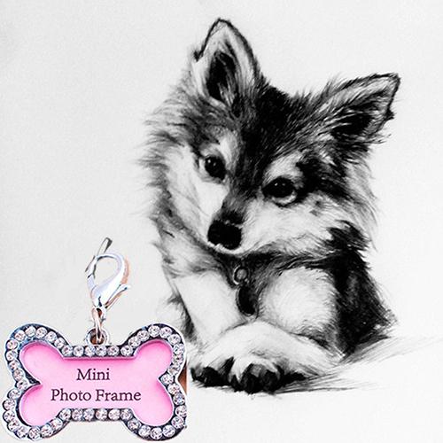 Pop Item! Bot Vorm Huisdieren Id Naam Tag Adres Hanger Hond Puppy Kraag Anti-Verloren Kaart Habitat Decor Hond Tag