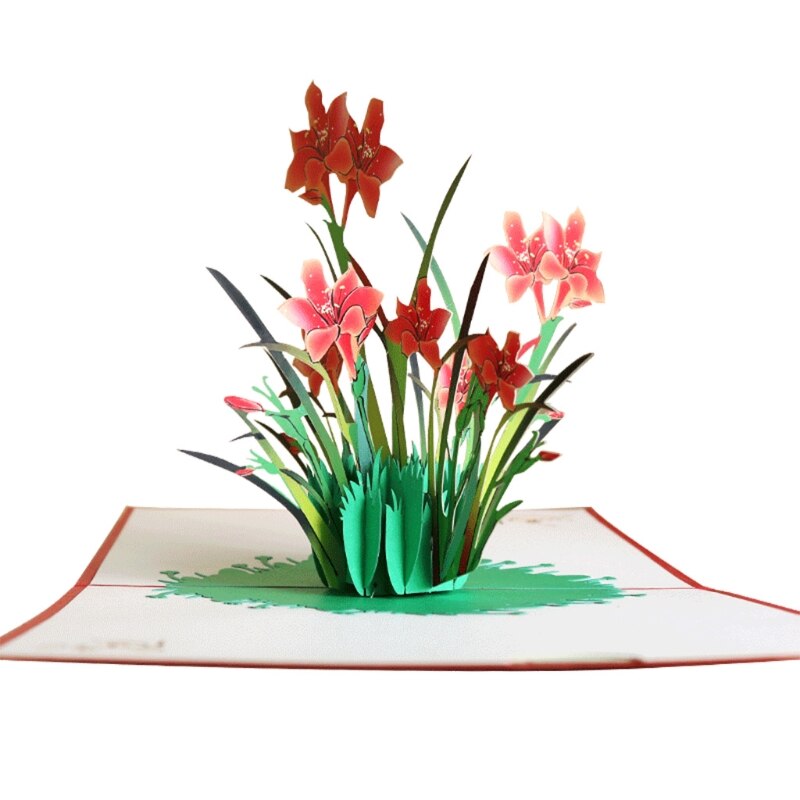 3D Pop-Up Flower Floral Greeting Card for Birthday Mothers Father's Day Wedding R9JC: 3