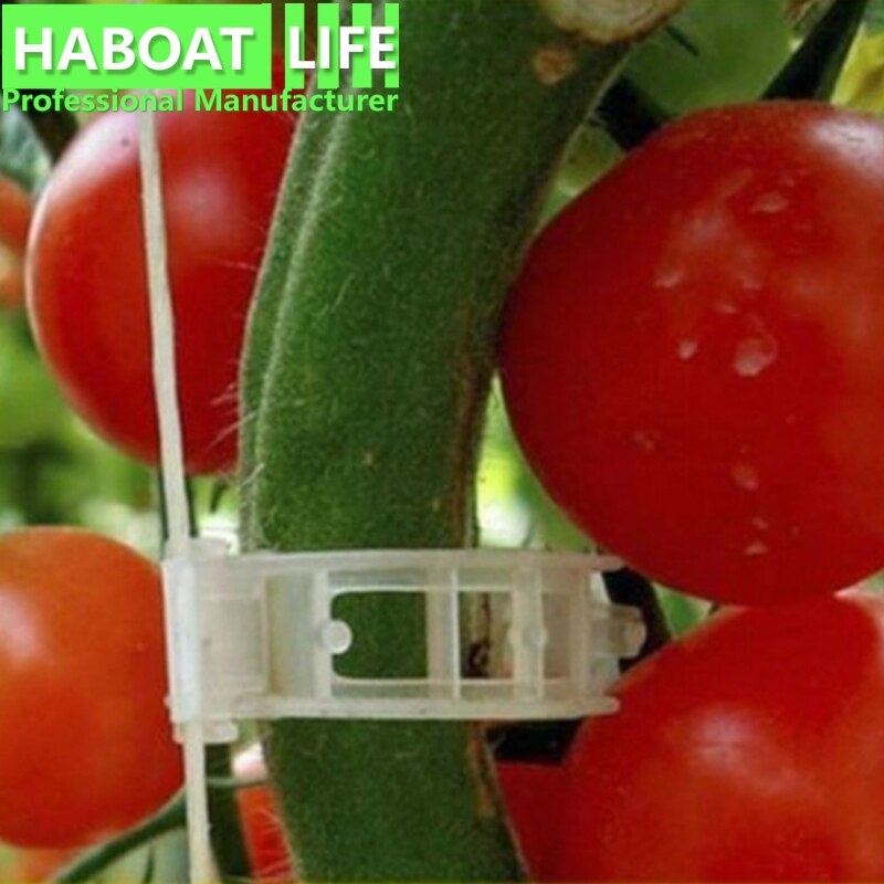 50pcs Plant Clip Plastic Vine Hanging Vine Fixing Clip G