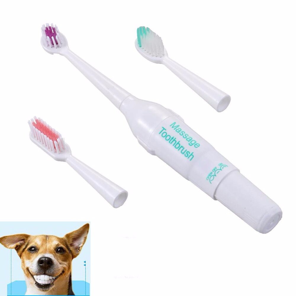 Toevoeging Tanden Care Willekeurige Hond Kleur Stok Schoonmaakproducten Kat Elektrische Borstelen Tandenborstel Tandheelkundige Borstel