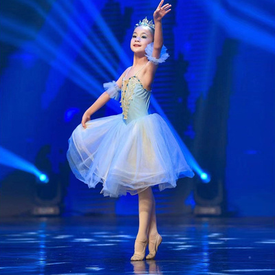 Professionele Ballet Tutu Zwanenmeer Paars Dans Kostuum Pannenkoek Meisjes Klassieke Ballet Tutu Turnpakje Ballet Jurk Voor Kinderen