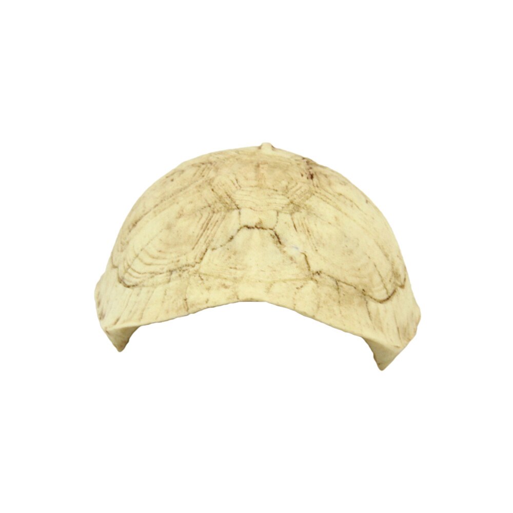 1pc Resin Emulational Turtle Shell Reptile Hide Rest Cave Pet Habitat Ornament for Reptile Pets