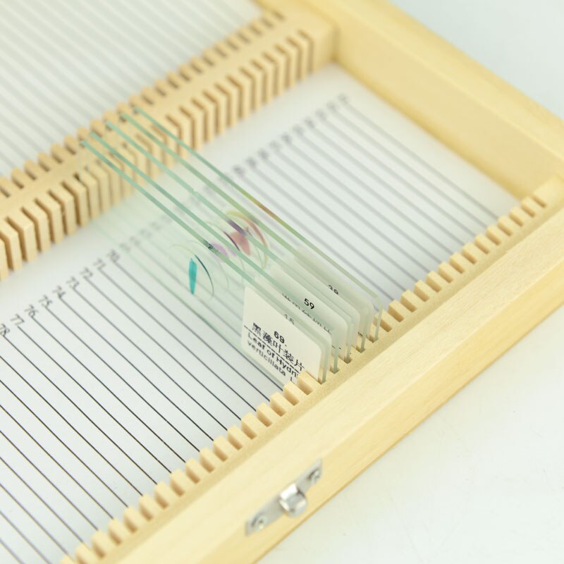 Wooden Microscope Slides Box Storage Case For Microscope Slides Pathological Specimen