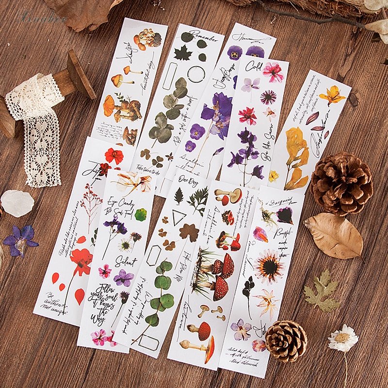 Autocollant transparent pour animaux de compagnie, série de plantes vintage, feuille de fougère, marguerite, décoration pour album, scrapbooking, étiquette autocollante