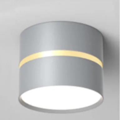 Led Surface-Mounted Downlight Slaapkamer Corridor Home Light 9W/12W Garderobe Eenvoudige Moderne Woonkamer AC85-265V: changeable / 1w / Blauw