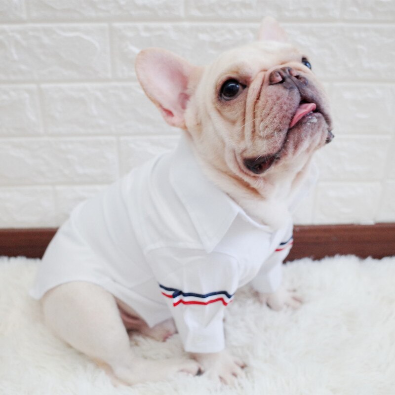 Ropa de Pomerania Formal estilo coreano, traje de ocio a la para Bulldog Francés, camisa de Pug, camisas para perros de negocios, disfraz para perros