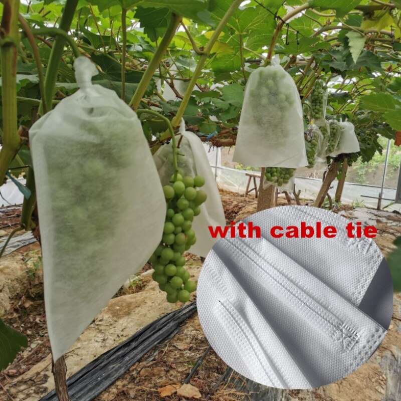 Bolsas de tela no tejida para uvas y verduras, bolsa protectora para fruta y manzana, para control de plagas agrícolas, 50 unids/lote