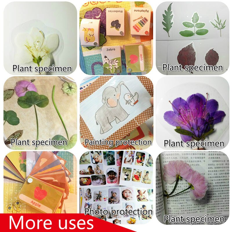 50 Sheets / Pack A4 Cold Laminating Film PVC Transparent Film Photo Film Manual Specimen Plant Preparation Film Sticker