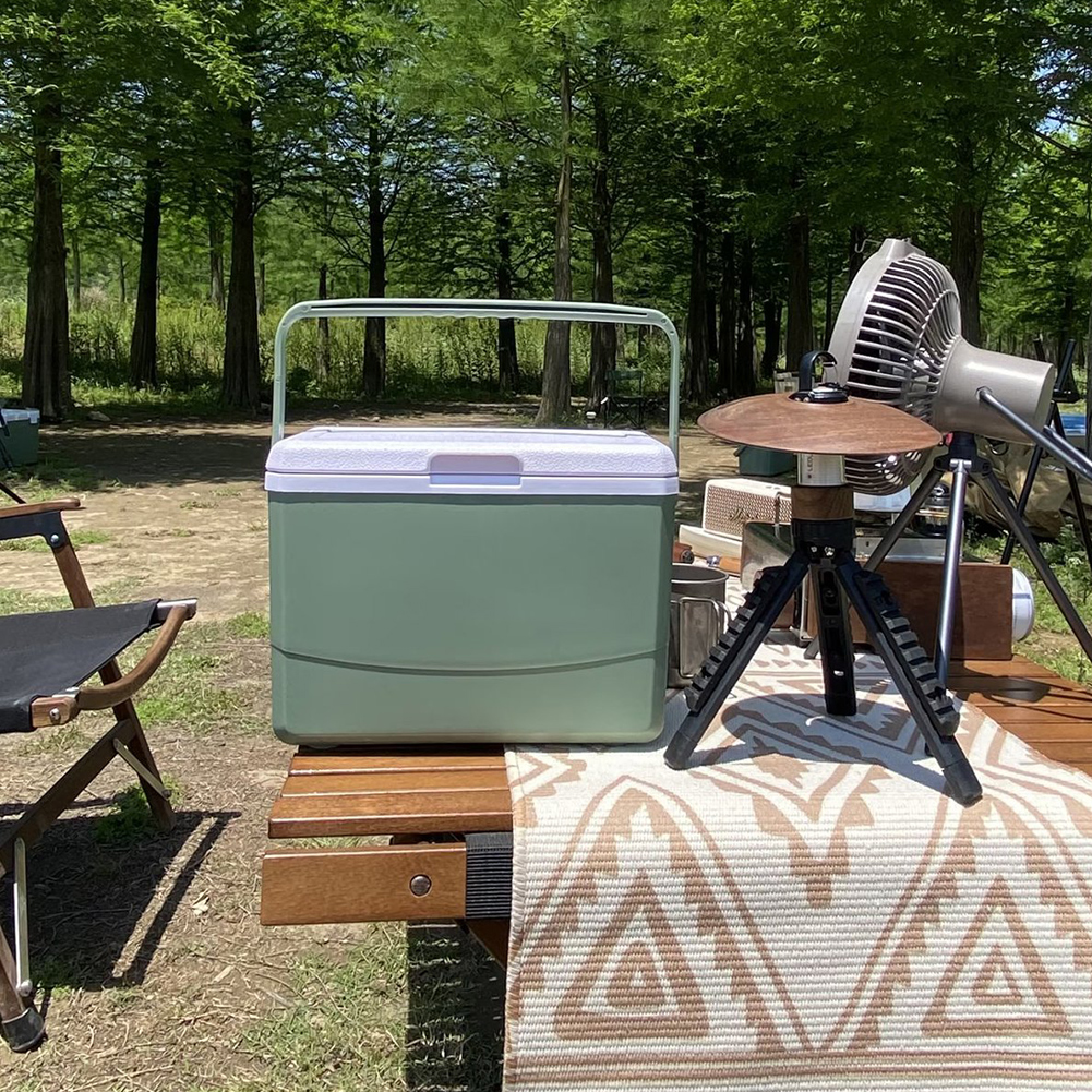 3L Insulated Portable Cooler with Handle Mini Freezer Fridge Heat Preservation Fresh-Keeping Incubator for Camping Tailgating