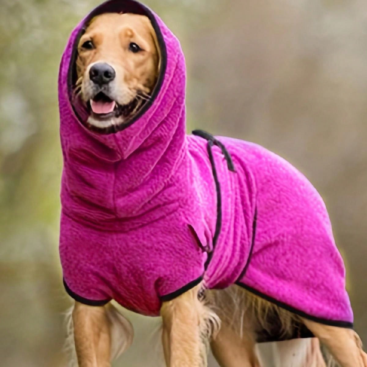 Generic Dog Winter Coat for Whippet, Greyhound Cosy Fleece Jumper, Jacket Lurcher and Clothe with Warm Lining, Adjustable Band M: M / Pink
