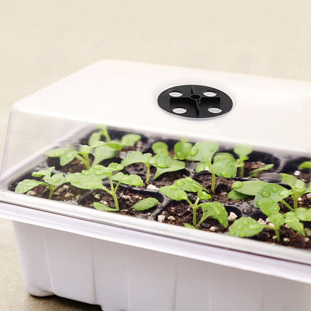 plateau de démarrage de graines à 6/12 grilles, Mini Base de Germination de plantes de serre, boîte de plantation de culture, Kit de démarrage de plantes, Kit de culture de graines