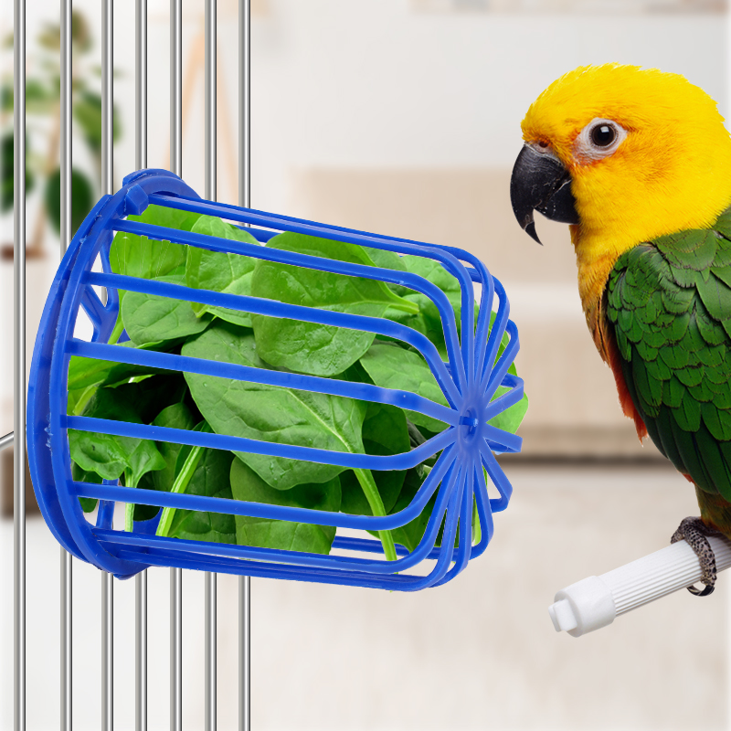 Cesta alimentadora de loros, soporte para percha de frutas y verduras, suministros para aves, contenedor de frutas y verduras, suministros de alimentación para mascotas, 1-5 uds.