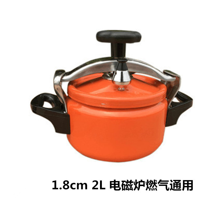 2/3L Pressure Cooker for 3-4 People Household Rice Cooker Gas Induction Cooker General High Pressure Cooker Soup Pot: 2L