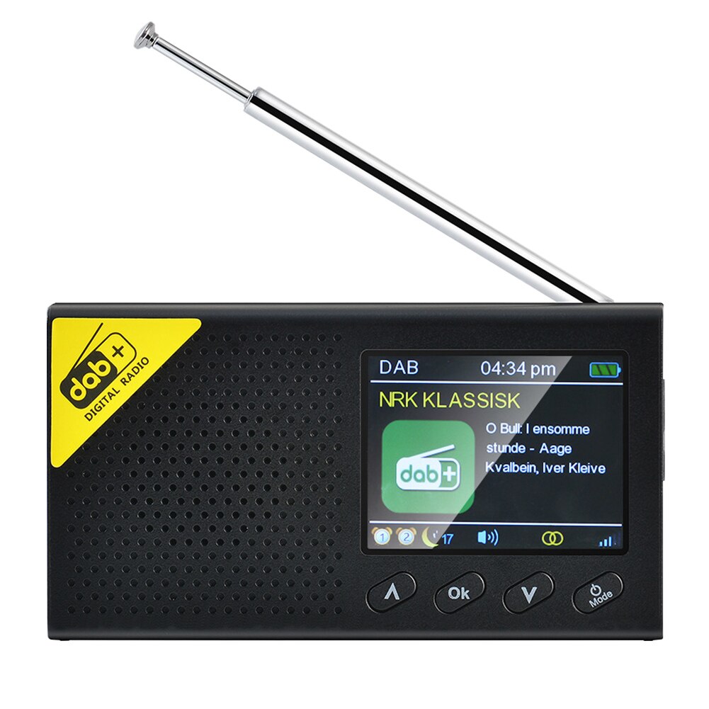 Auto MP3 Bluetooth 5.0 Handheld Alarm Instelling Muziekspeler Mini Draagbare Dab Digitale Radio Fm Ontvanger Oplaadbare Kleur Screen