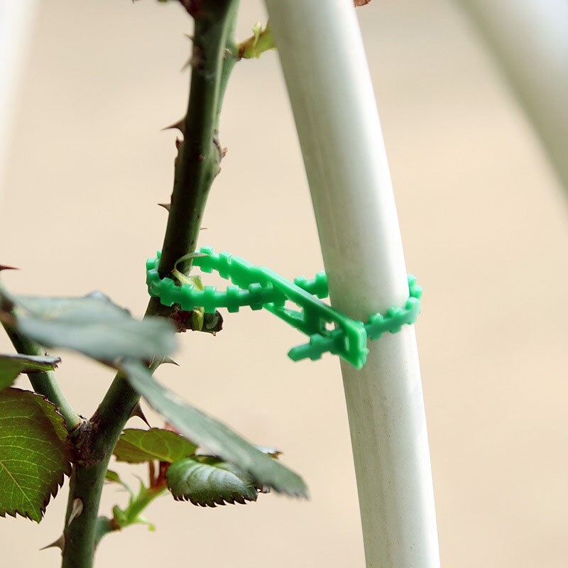 50/100 sztuk wielokrotnego użytku ogród opaski wsparcie dla roślin krzewy zapięcie drzewo blokowania nylon regulowany plastikowe opaski kablowe opaski narzędzia